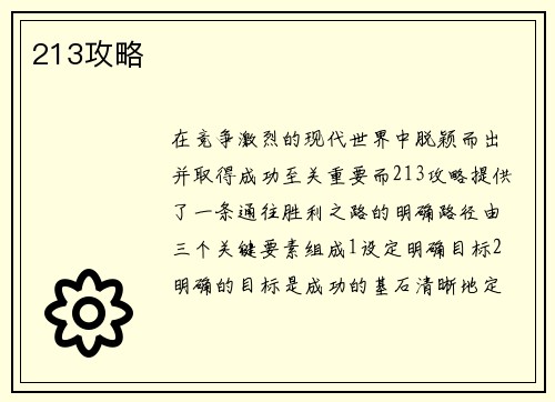 213攻略