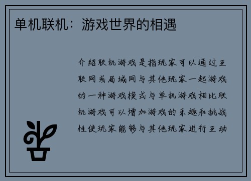 单机联机：游戏世界的相遇